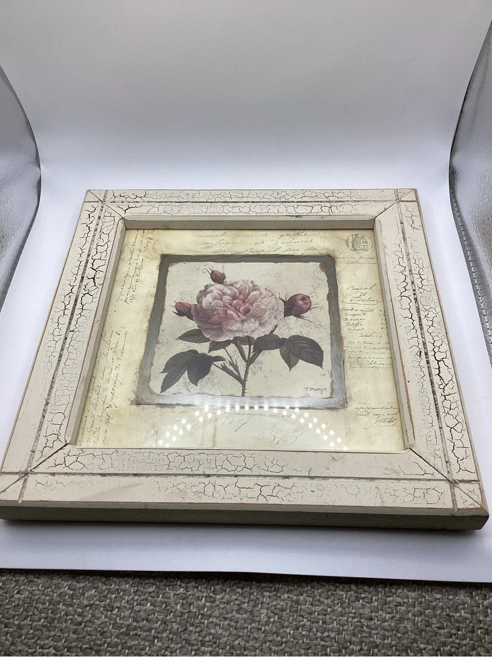 The Antique Botanicals VII by Karina Nicole Collection Shabby Chic Floral Print
